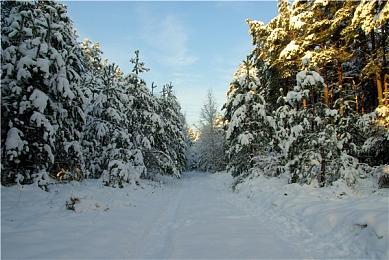 Xbox Series在日销量已是Xbox One 2倍还多